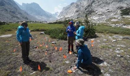 Four people surveying a field with orange flags