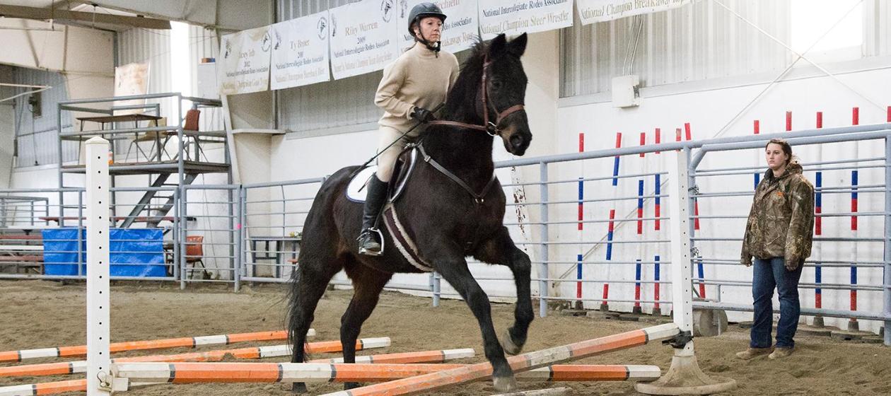 Equestrian riding a horse through an indoor jumping course with obstacles down