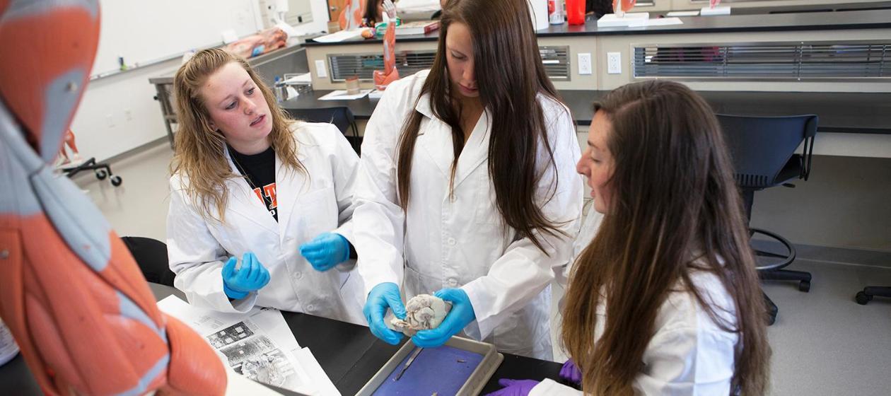 Three students working in a lab