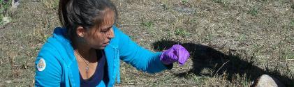 Technician working on the field