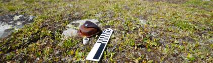 Some anthropology equipment laying on a grassy field