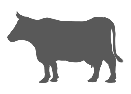Icon of gray cow graphic