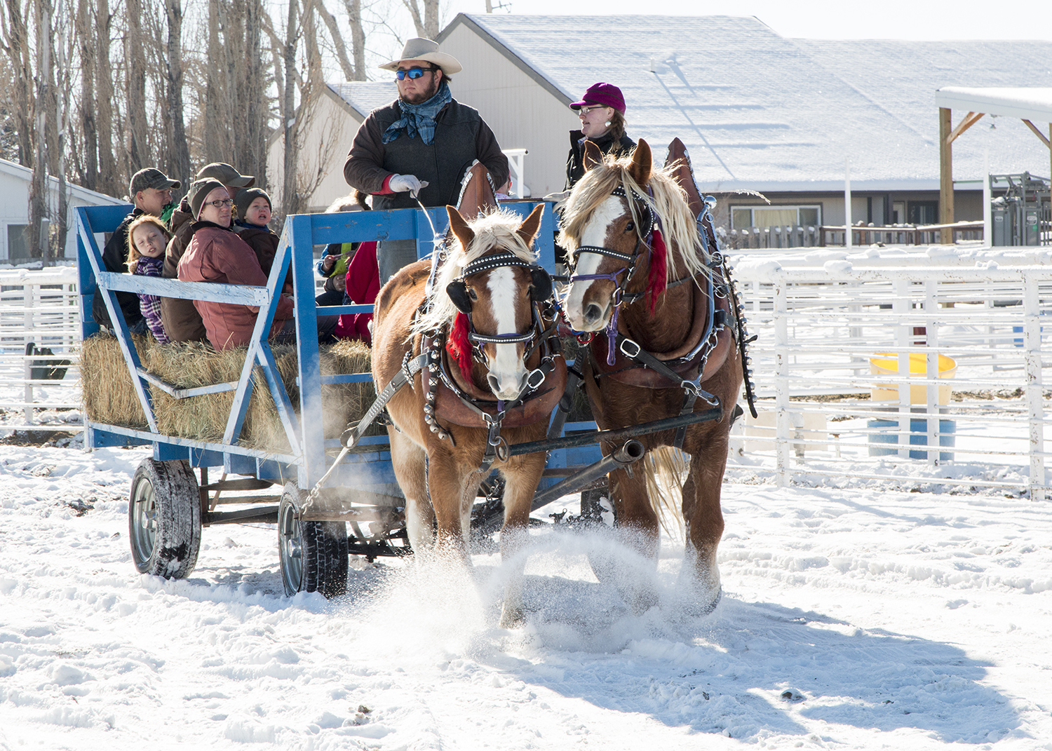 Family enjoying a sleigh ride