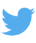 The blue twitter icon