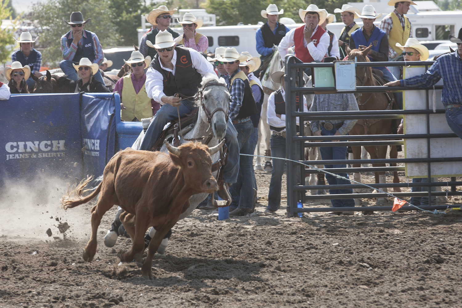 CWC rodeo cowboy Dalton Burgener speeds up his horse to wrestle a steer